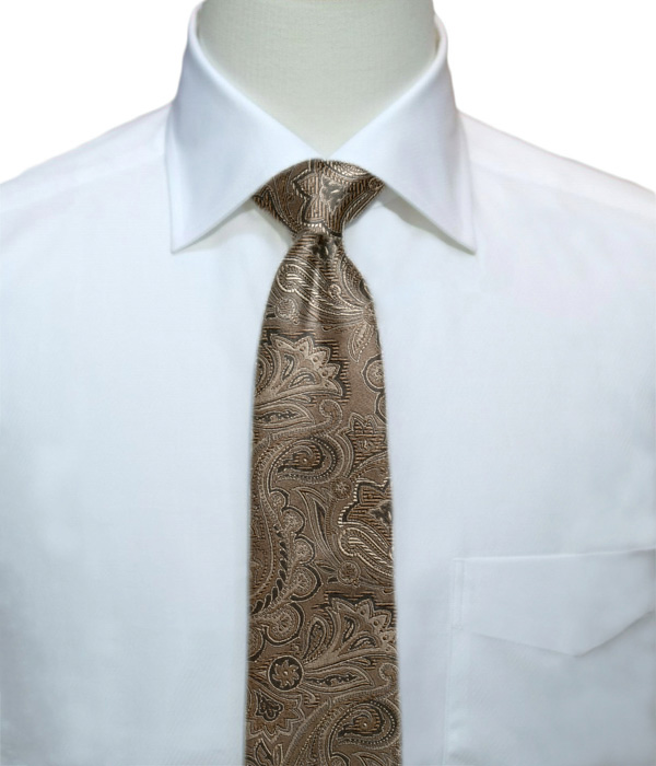 【国産】ライトブラウン×ブラック ペイズリー柄 ネクタイ