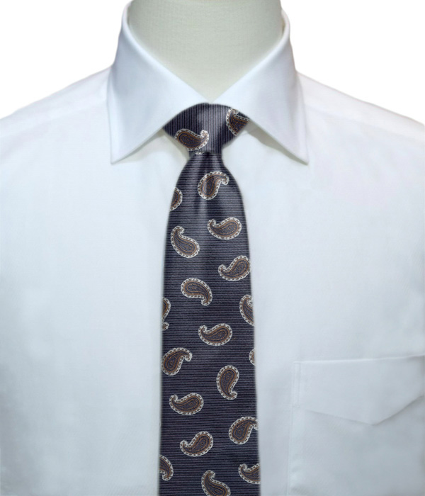 【インポート】ネイビー×ブラウン ペイズリー柄 ネクタイ