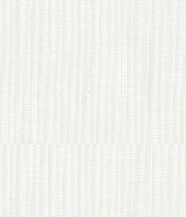 【THE STATES MADE】 ホワイト ダンガリー 無地 ドレスシャツ