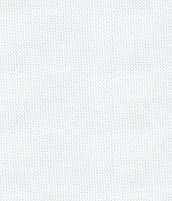 【THE STATES MADE】 ホワイト オックス 無地 ドレスシャツ