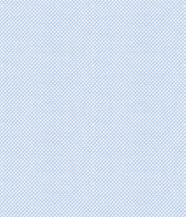 【THE STATES MADE】 サックス オックス 無地 ドレスシャツ