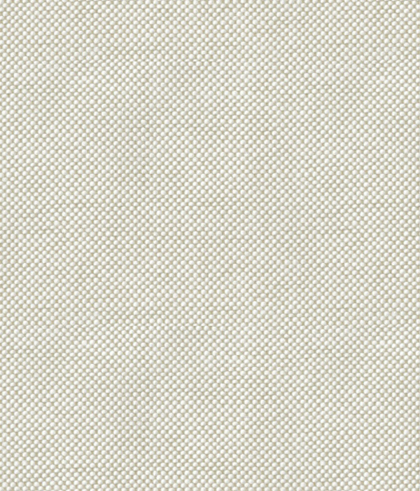 【THE STATES MADE】 ベージュ オックス 無地 ドレスシャツ