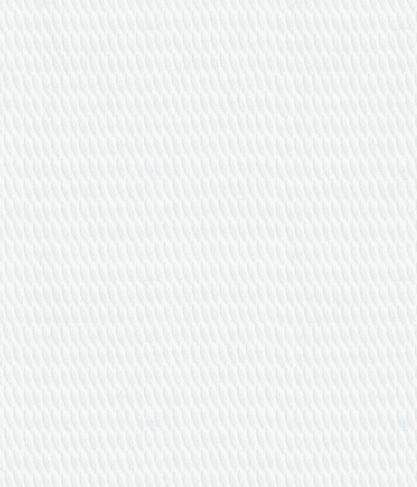 【Royal Caribbean SILVER】100/2 ホワイト ドビー 織り柄 シャツ