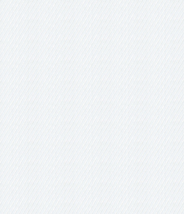 【Royal Caribbean SILVER】100/2 ホワイト ツイル 無地 シャツ