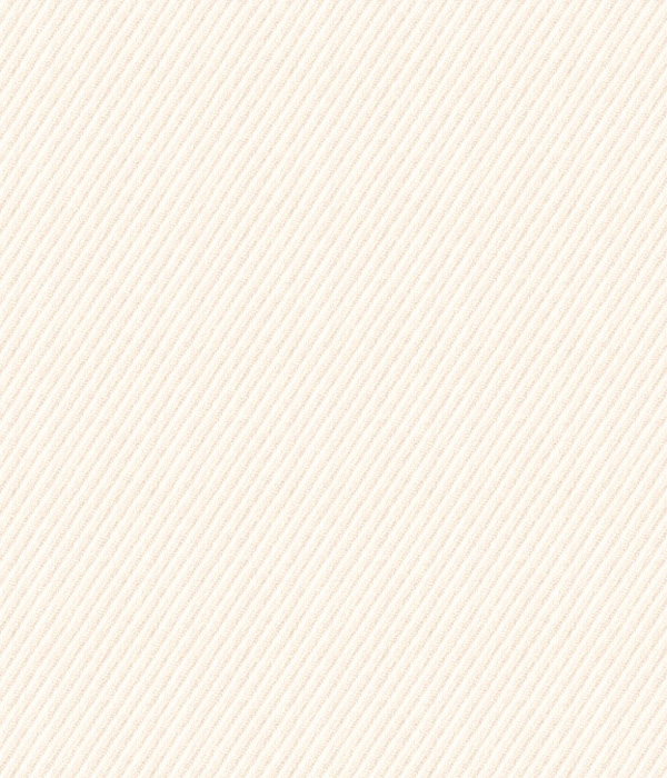 【Royal Caribbean SILVER】100/2 ベージュ ツイル 無地 シャツ