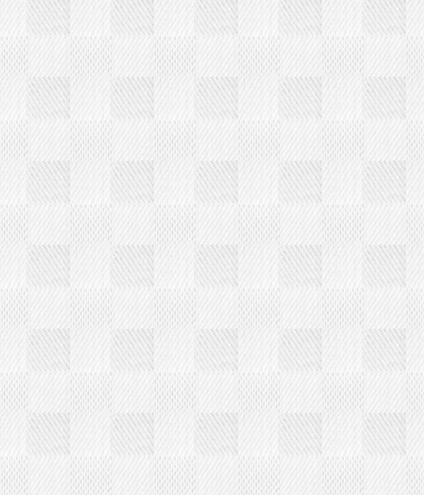 【Royal Caribbean GOLD】120/2 ホワイト ドビー チェック シャツ