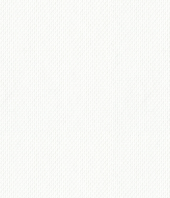 【AMERICAN SEA ISLAND COTTON】ホワイト ロイヤルオックス 無地 シャツ
