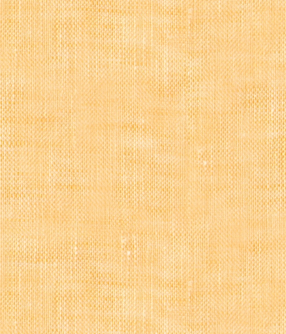 【ALBINI Linen】オレンジ リネン 無地 カプリシャツ
