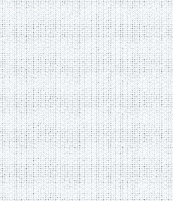 【THOMAS MASON｜Gold Line】140番手双糸 ホワイト ロイヤルオックス 無地 ドレスシャツ