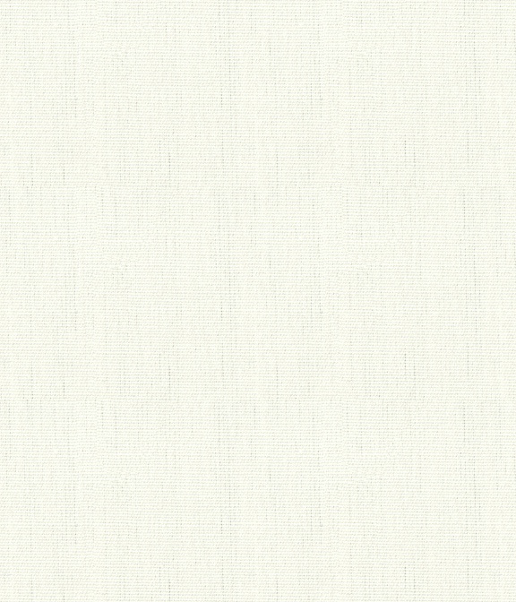 【THOMAS MASON】ベージュ ブロード 無地 ドレスシャツ
