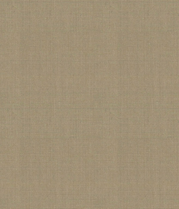 【まとめ買い対象】ベージュタイプライター無地シャツ