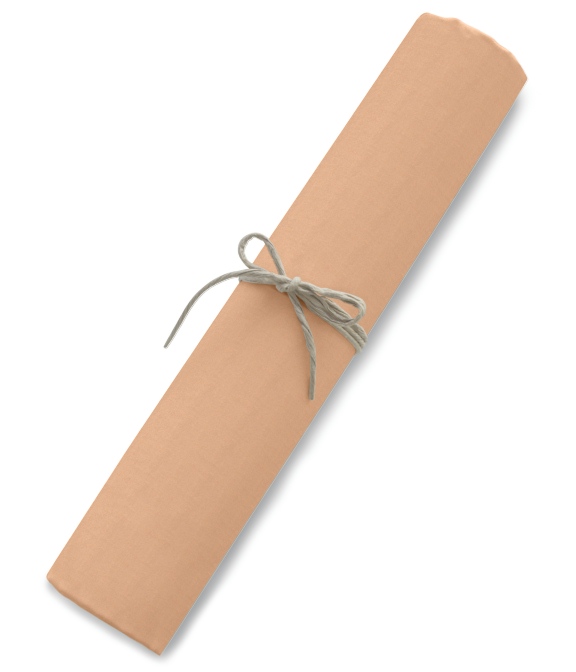 【まとめ買い対象】LEGGIUNOブラウンブロード無地シャツ