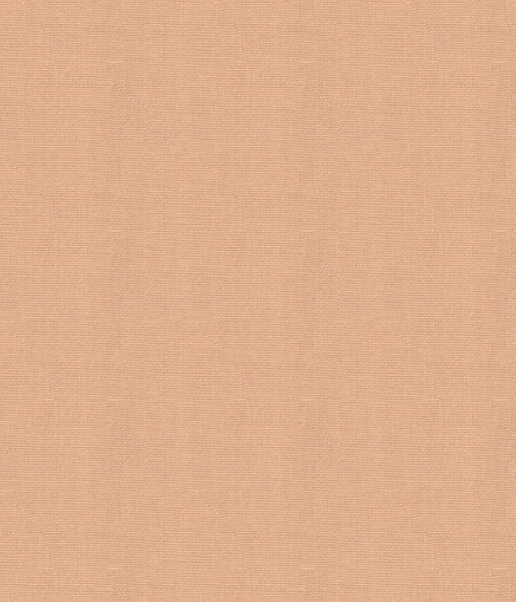 【まとめ買い対象】LEGGIUNOブラウンブロード無地シャツ