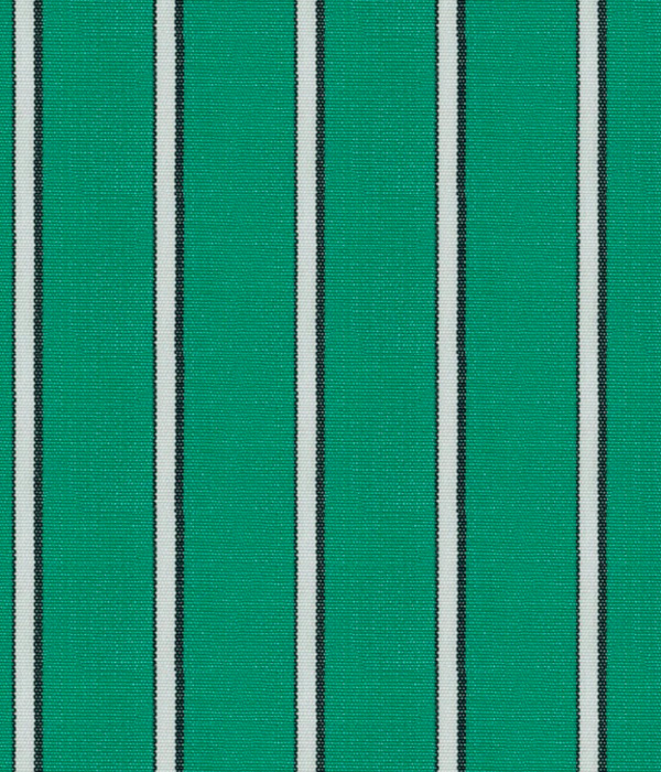 【まとめ買い対象】THOMAS MASON グリーンブロードストライプシャツ