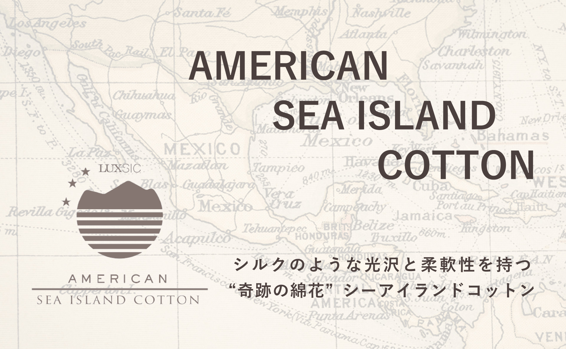 シルクのような光沢と繊細な柔軟性のある生地『American Sea Island Cotton』