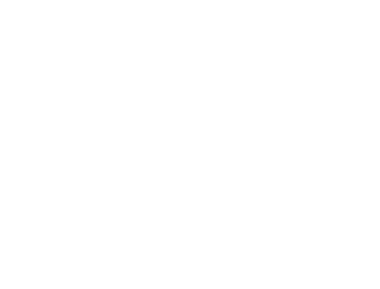 COLOR STRIPE SHIRTS