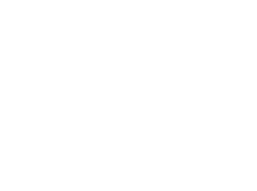 COLOR STRIPE SHIRTS
