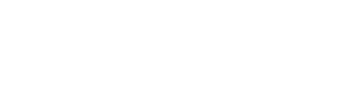 ALBINI COLLECTION