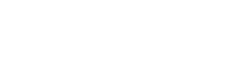 COLLECTION
