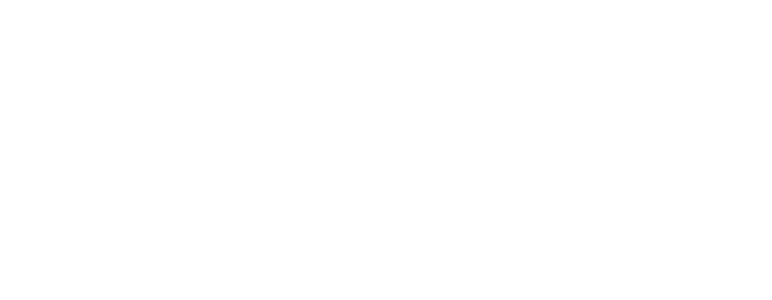 COLLECTION